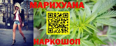 крисы Краснодар