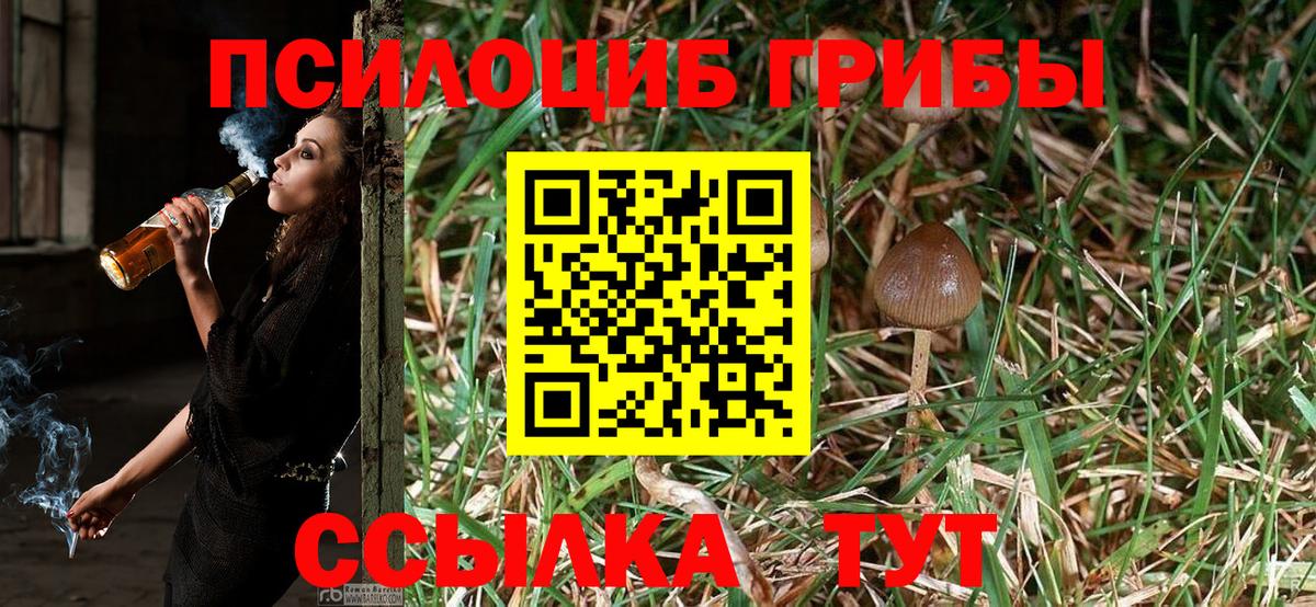 Галлюциногенные грибы MAGIC MUSHROOMS  Вход с VPN  Галлюциногенные грибы MAGIC MUSHROOMS  купить наркоту  Киров 